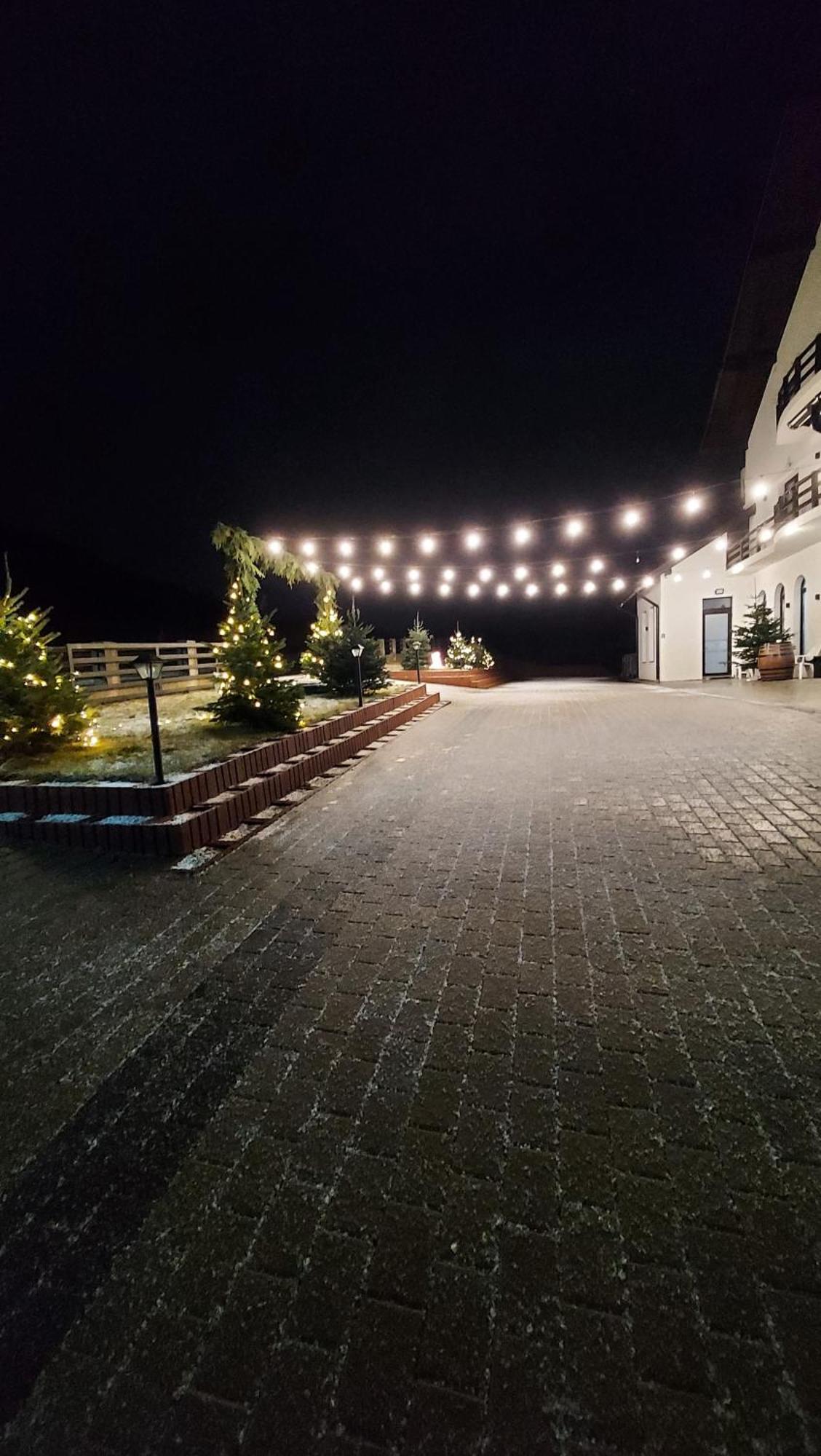 ホテル Evenimente Edelweiss Bogdan Vodă エクステリア 写真