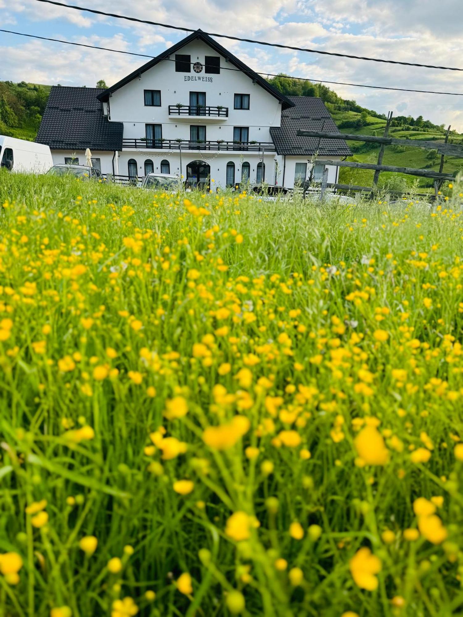 ホテル Evenimente Edelweiss Bogdan Vodă エクステリア 写真