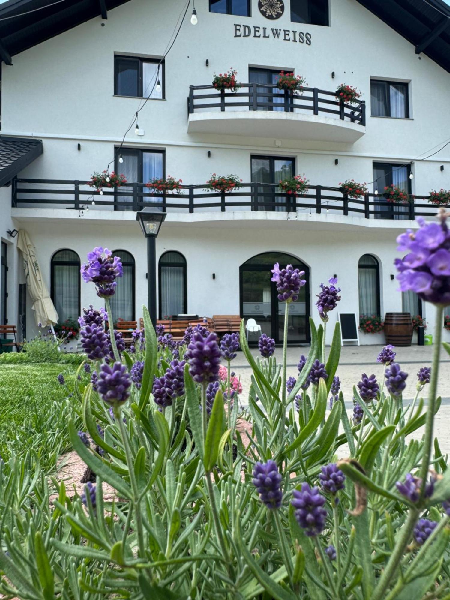 ホテル Evenimente Edelweiss Bogdan Vodă エクステリア 写真