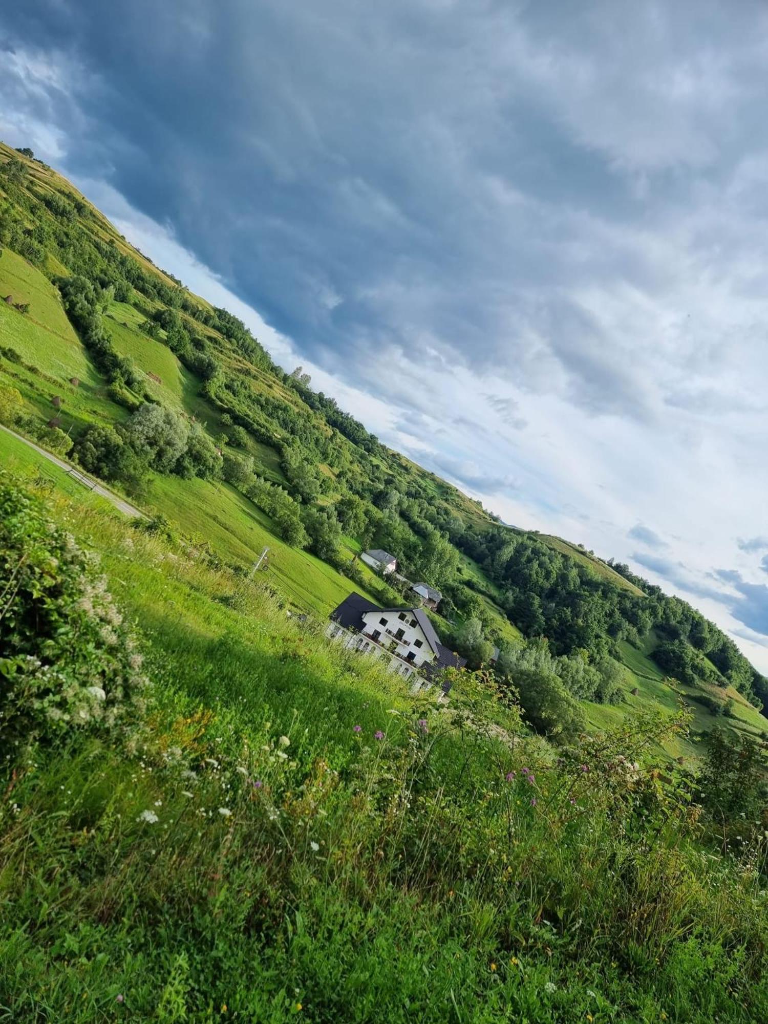 ホテル Evenimente Edelweiss Bogdan Vodă エクステリア 写真